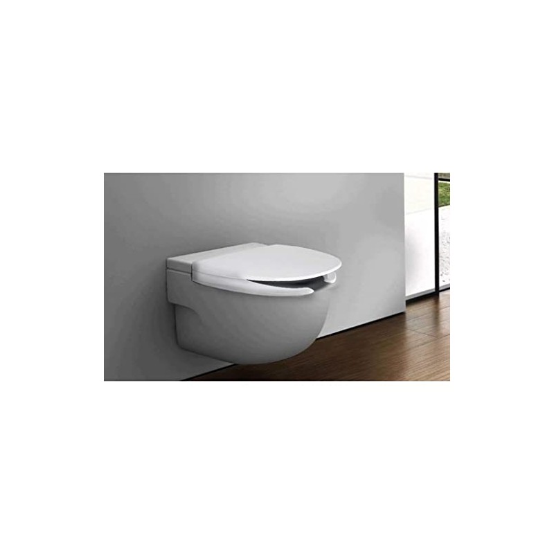 Acquista Copriwater universale per disabili legno bianco coprivaso wc Damast con riferimento FA. 12455 a partire da 36,00 €
