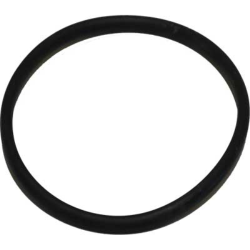 Acquista O-ring in gomma per contenitori small  con riferimento CT. 1485104 a partire da 2,00 €